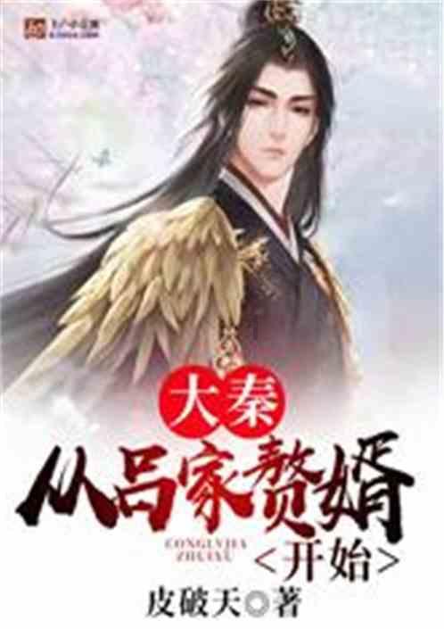 我为你减少我的容颜!你会为我做什么？游戏画面